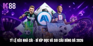 Tỷ Lệ Kèo Nhà Cái - Bí Kíp Đọc Và Soi Cầu Bóng Đá 2026